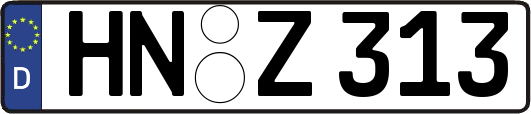 HN-Z313
