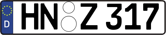 HN-Z317