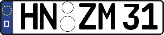 HN-ZM31