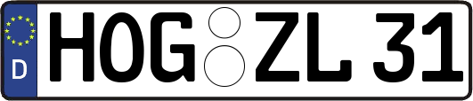 HOG-ZL31