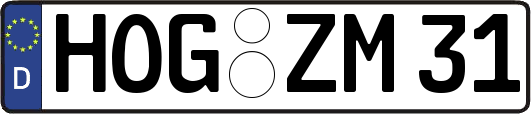 HOG-ZM31