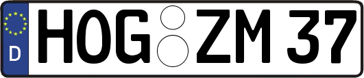 HOG-ZM37