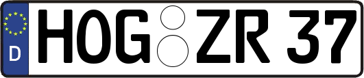 HOG-ZR37