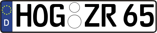 HOG-ZR65