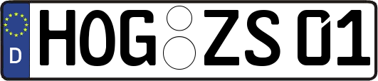 HOG-ZS01