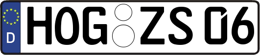 HOG-ZS06