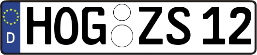 HOG-ZS12