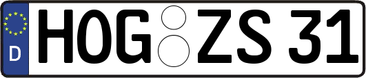 HOG-ZS31