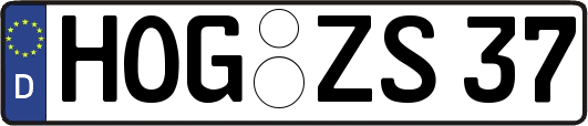 HOG-ZS37