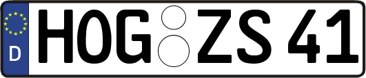 HOG-ZS41