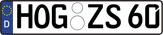 HOG-ZS60