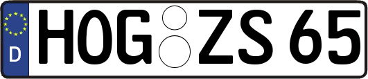 HOG-ZS65