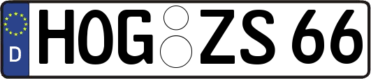 HOG-ZS66