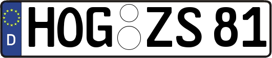 HOG-ZS81