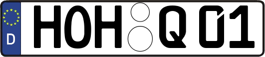 HOH-Q01