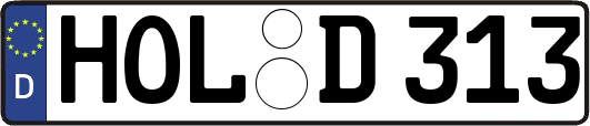 HOL-D313