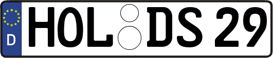 HOL-DS29