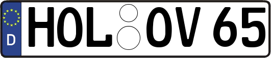 HOL-OV65