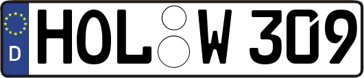 HOL-W309