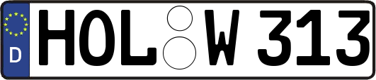 HOL-W313