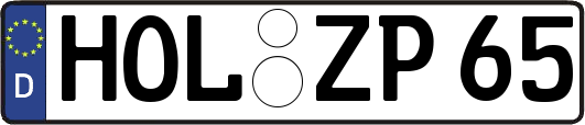 HOL-ZP65