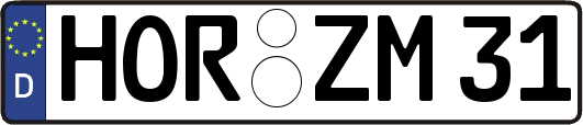HOR-ZM31