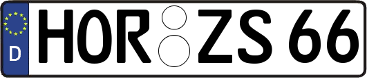 HOR-ZS66