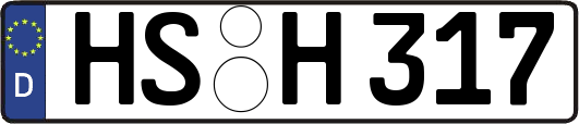 HS-H317