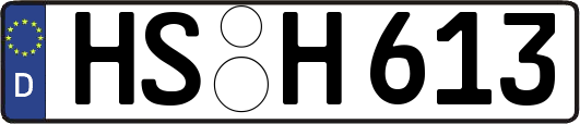 HS-H613