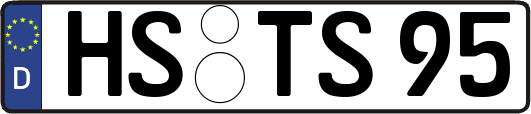 HS-TS95