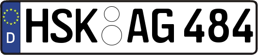 HSK-AG484