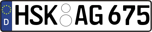 HSK-AG675