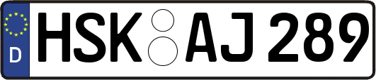 HSK-AJ289