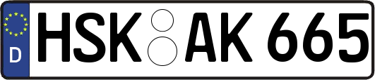 HSK-AK665