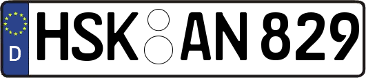HSK-AN829