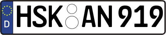 HSK-AN919