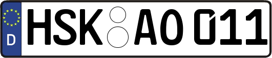 HSK-AO011