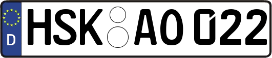HSK-AO022