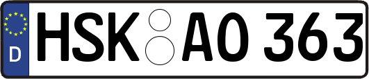 HSK-AO363