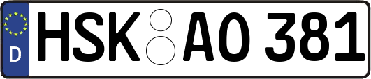 HSK-AO381