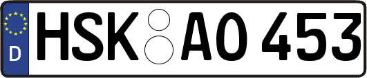 HSK-AO453