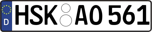 HSK-AO561