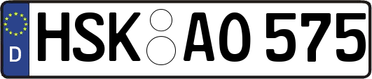 HSK-AO575