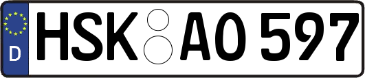 HSK-AO597
