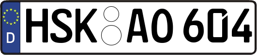 HSK-AO604