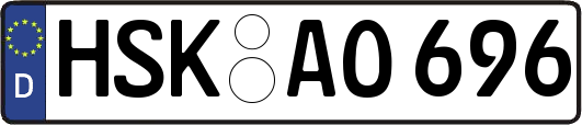 HSK-AO696