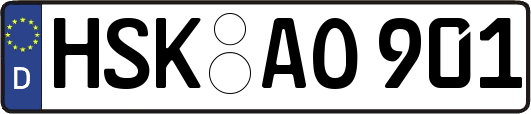HSK-AO901
