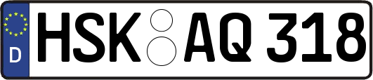 HSK-AQ318