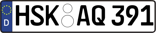 HSK-AQ391