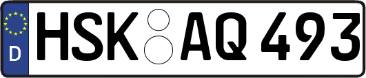 HSK-AQ493